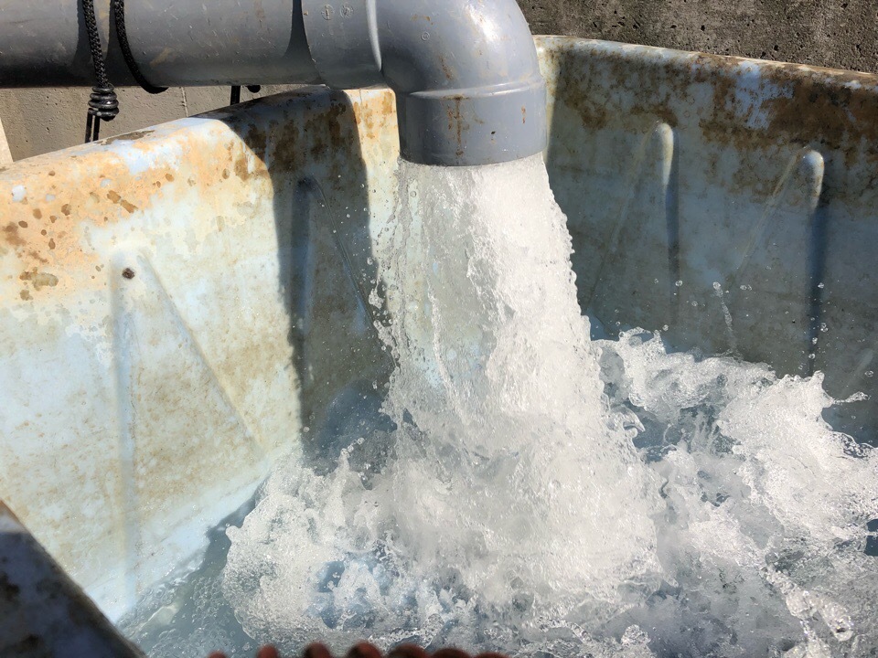 05F7FDC4-F209-4936-91AB-FF0AD00B59B0