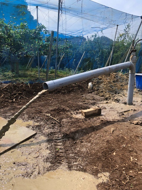 BFCC8E73-2FEA-436C-BD73-BE63611B0DB3