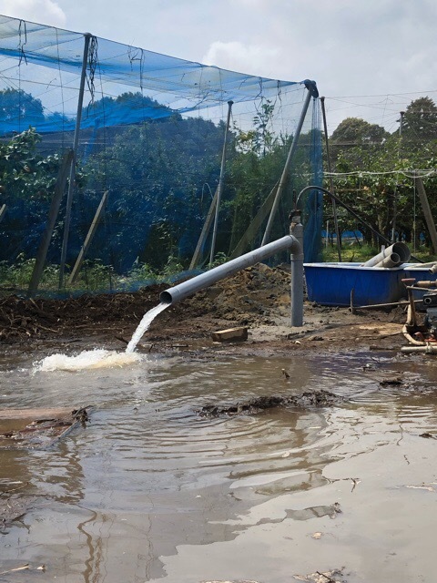 1DF02FA3-E7DF-4FB1-B11C-20426A30C7A5