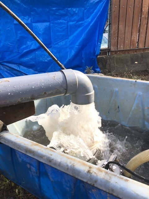 8C1FE687-2376-4BBD-9DE7-EA04D3F3DE1E